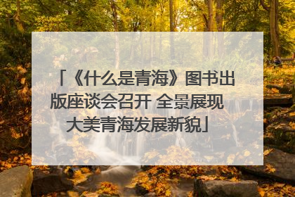 《什么是青海》图书出版座谈会召开 全景展现大美青海发展新貌
