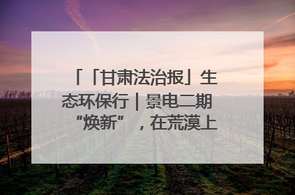 「甘肃法治报」生态环保行｜景电二期“焕新”，在荒漠上筑起一道绿色长城