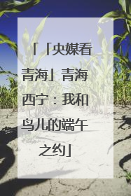 「央媒看青海」青海西宁：我和鸟儿的端午之约