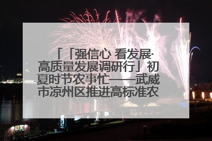 「强信心 看发展·高质量发展调研行」初夏时节农事忙——武威市凉州区推进高标准农田建设见闻