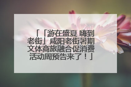 「游在盛夏 嗨到老街」咸阳老街暑期文体商旅融合促消费活动周预告来了！
