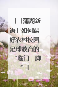 「蒲湖新语」如何踢好农村校园足球教育的“临门一脚”