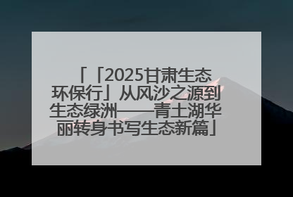 「2025甘肃生态环保行」从风沙之源到生态绿洲——青土湖华丽转身书写生态新篇