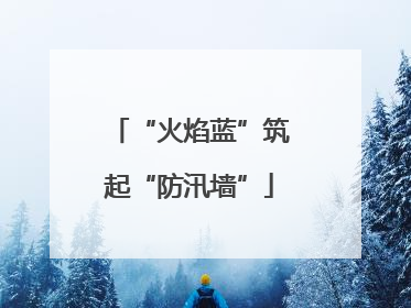 “火焰蓝”筑起“防汛墙”