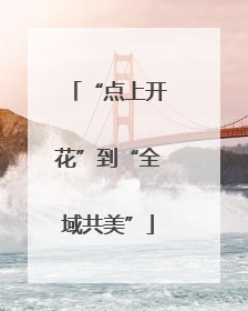 “点上开花”到“全域共美”
