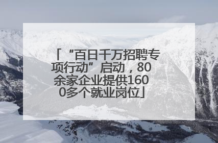 “百日千万招聘专项行动”启动，80余家企业提供1600多个就业岗位