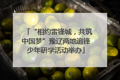 “相约雷锋城，共筑中国梦”豫辽两地追锋少年研学活动举办