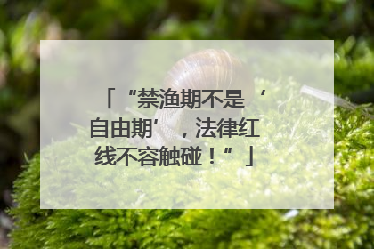 “禁渔期不是‘自由期’，法律红线不容触碰！”