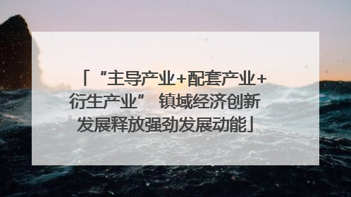 “主导产业+配套产业+衍生产业” 镇域经济创新发展释放强劲发展动能