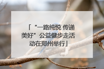 “一路纯悦 传递美好”公益健步走活动在郑州举行