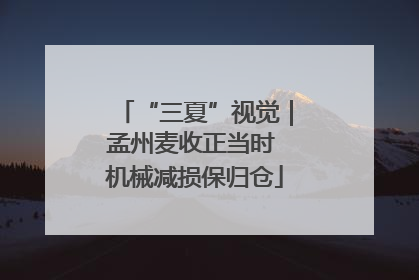 “三夏”视觉｜孟州麦收正当时 机械减损保归仓