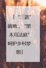 “三进”菌地，“黑木耳法庭”呵护乡村梦想