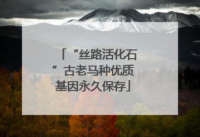 “丝路活化石”古老马种优质基因永久保存