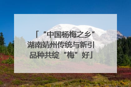 “中国杨梅之乡”湖南靖州传统与新引品种共绽“梅”好