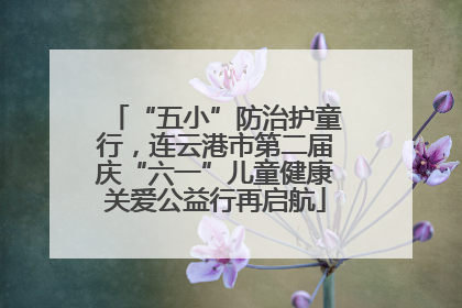 “五小”防治护童行，连云港市第二届庆“六一”儿童健康关爱公益行再启航
