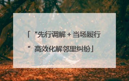 “先行调解＋当场履行”高效化解邻里纠纷
