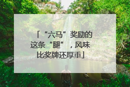 “六马”奖励的这条“腿”，风味比奖牌还厚重