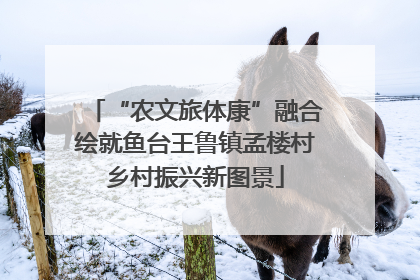 “农文旅体康”融合绘就鱼台王鲁镇孟楼村乡村振兴新图景