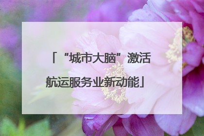 “城市大脑”激活航运服务业新动能
