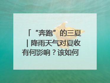 “奔跑”的三夏｜降雨天气对夏收有何影响？该如何防范？一文了解