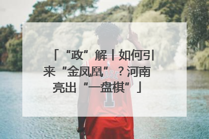 “政”解丨如何引来“金凤凰”？河南亮出“一盘棋”