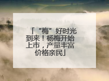 “梅”好时光到来!杨梅开始上市,产量丰富价格亲民