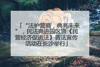“法护营商，典亮未来”，民法典进园区暨《民营经济促进法》普法宣传活动在长沙举行