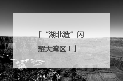 “湖北造”闪耀大湾区！
