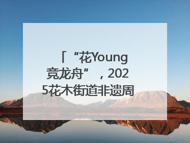 “花Young竞龙舟”，2025花木街道非遗周系列活动举行