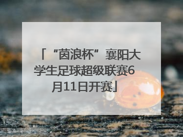 “茵浪杯”襄阳大学生足球超级联赛6月11日开赛