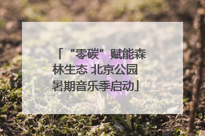 “零碳”赋能森林生态 北京公园暑期音乐季启动