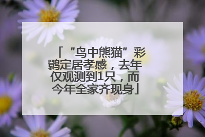 “鸟中熊猫”彩鹮定居孝感，去年仅观测到1只，而今年全家齐现身