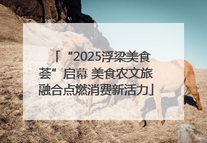 “2025浮梁美食荟”启幕 美食农文旅融合点燃消费新活力