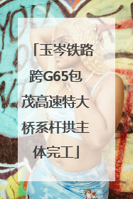 玉岑铁路跨G65包茂高速特大桥系杆拱主体完工