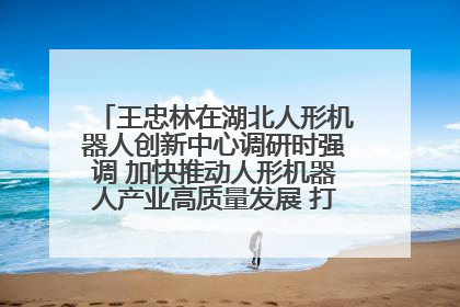 王忠林在湖北人形机器人创新中心调研时强调 加快推动人形机器人产业高质量发展 打造具有全国影响力的研发创新基地