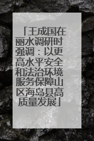 王成国在丽水调研时强调：以更高水平安全和法治环境服务保障山区海岛县高质量发展