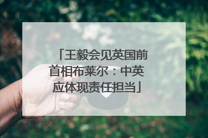 王毅会见英国前首相布莱尔：中英应体现责任担当