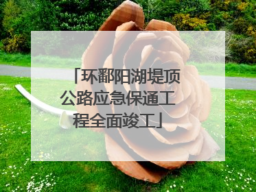 环鄱阳湖堤顶公路应急保通工程全面竣工