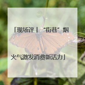 现场评丨“街巷”烟火气激发消费新活力