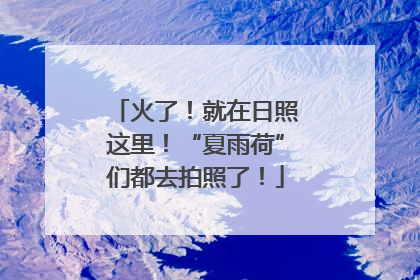 火了！就在日照这里！“夏雨荷”们都去拍照了！