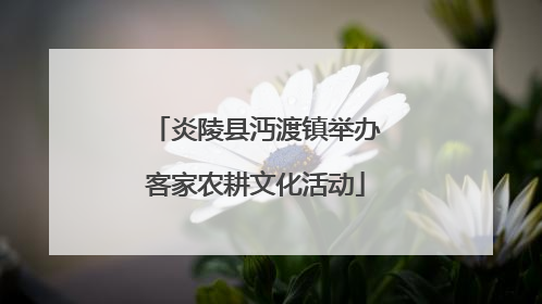 炎陵县沔渡镇举办客家农耕文化活动