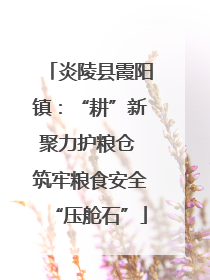 炎陵县霞阳镇：“耕”新聚力护粮仓 筑牢粮食安全“压舱石”