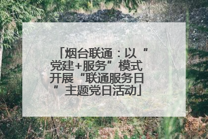烟台联通：以“党建+服务”模式开展“联通服务日”主题党日活动