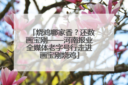 烧鸡哪家香？还数画宝刚——河南报业全媒体老字号行走进画宝刚烧鸡