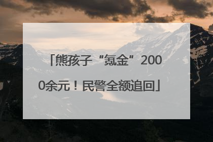 熊孩子“氪金”2000余元！民警全额追回