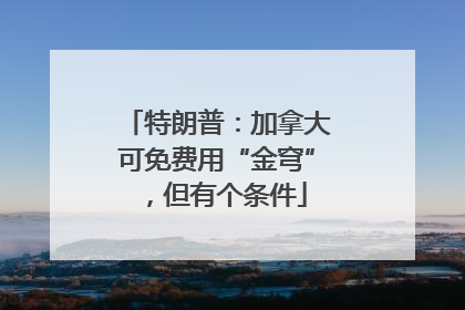 特朗普：加拿大可免费用“金穹”，但有个条件