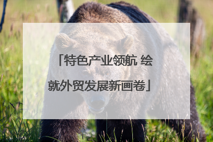特色产业领航 绘就外贸发展新画卷