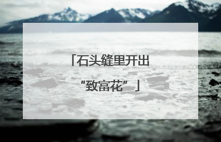 石头缝里开出“致富花”