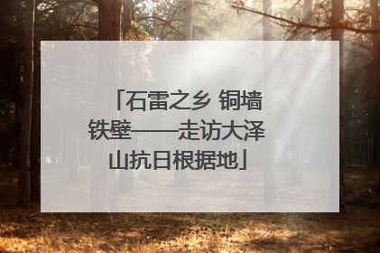 石雷之乡 铜墙铁壁——走访大泽山抗日根据地