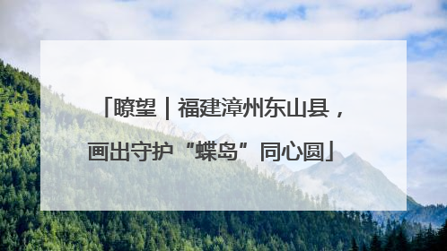 瞭望｜福建漳州东山县，画出守护“蝶岛”同心圆
